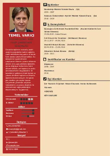 cv indir